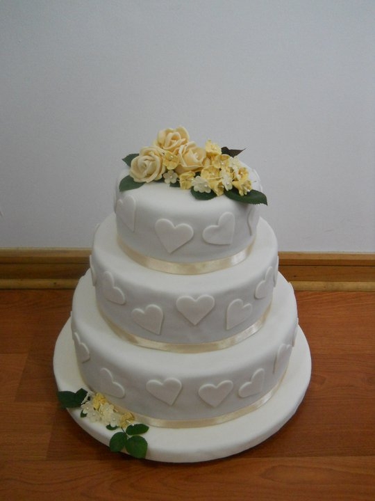 novios 248